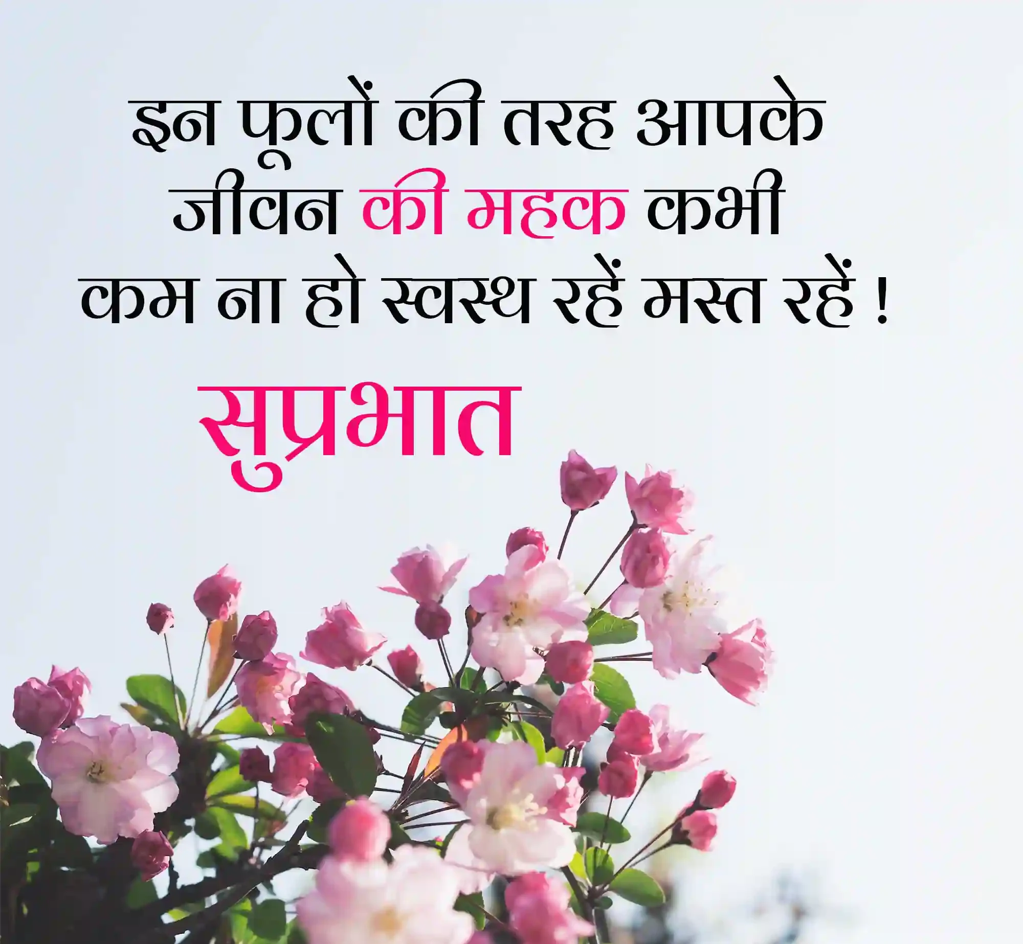 Good Morning Quotes in Hindi with Flower