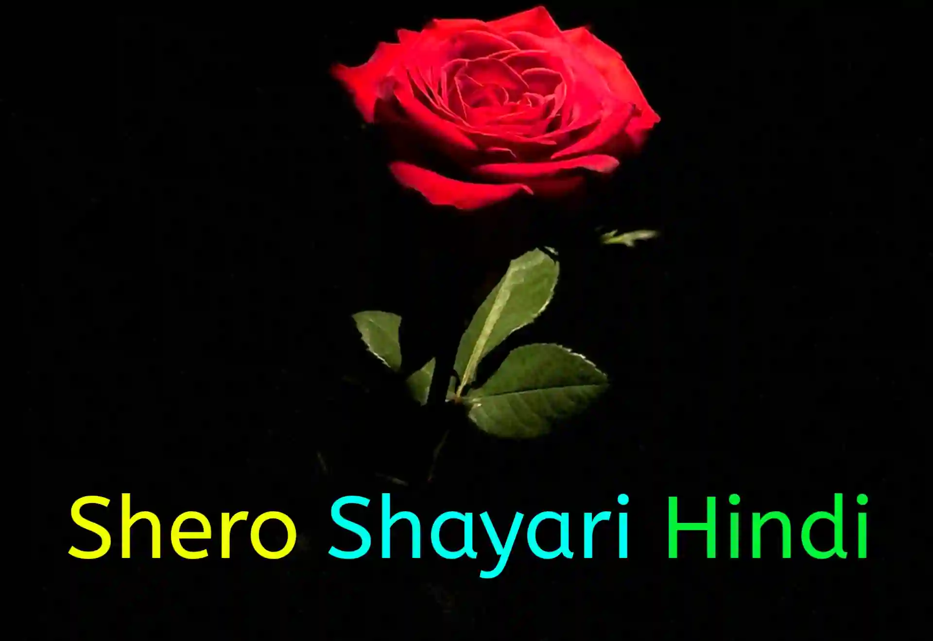 Shero Shayari