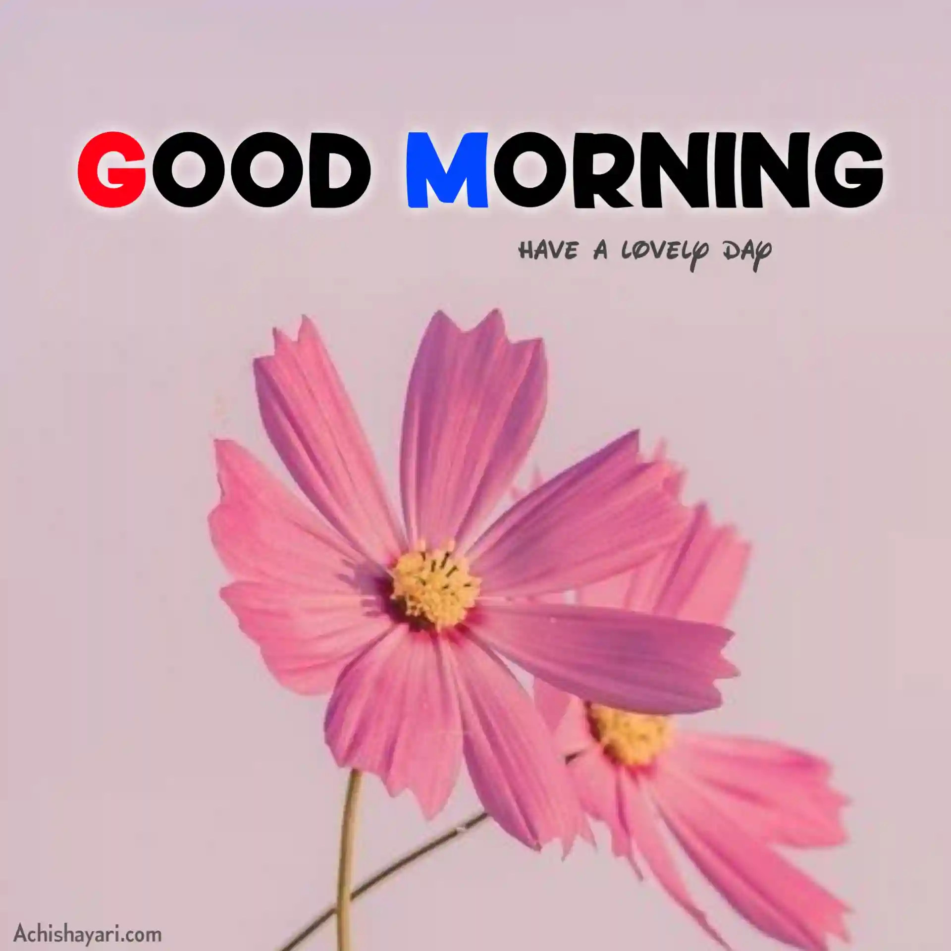 Good Morning Image HD