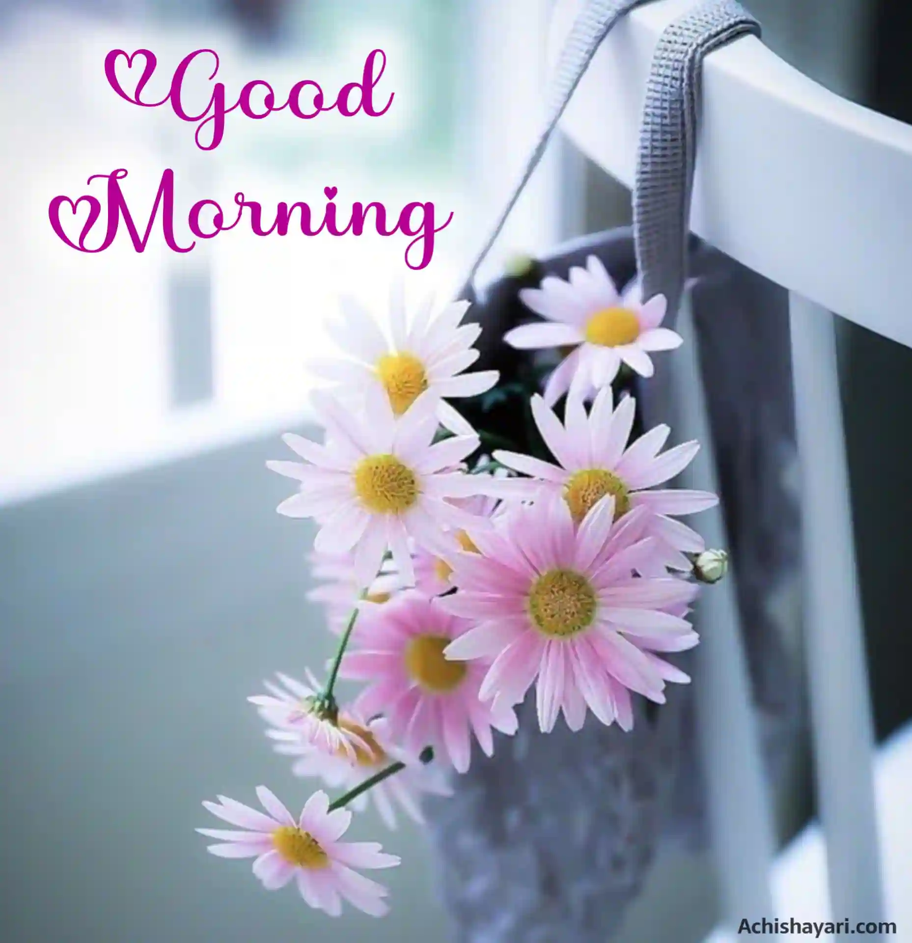 HD Good Morning Images Flower