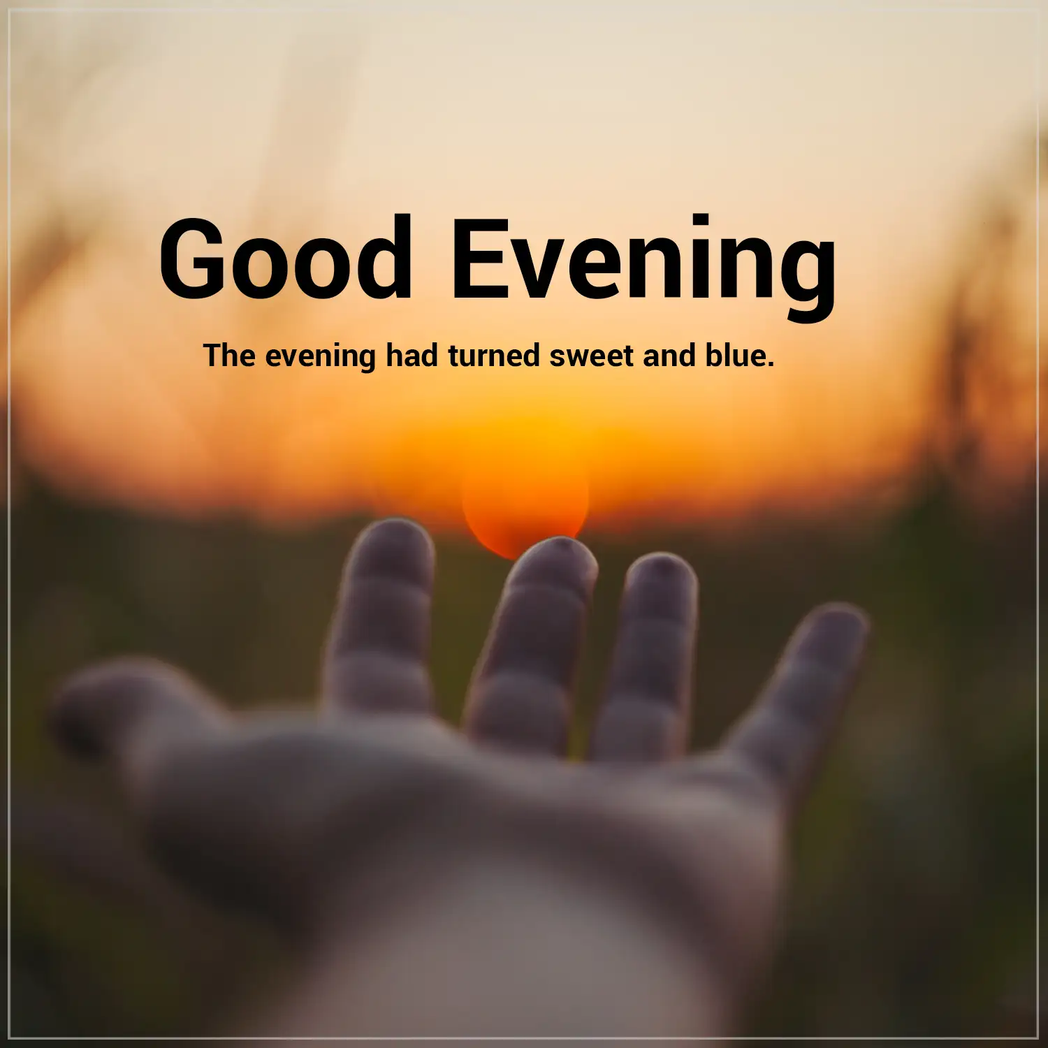 Evening Quotes Image