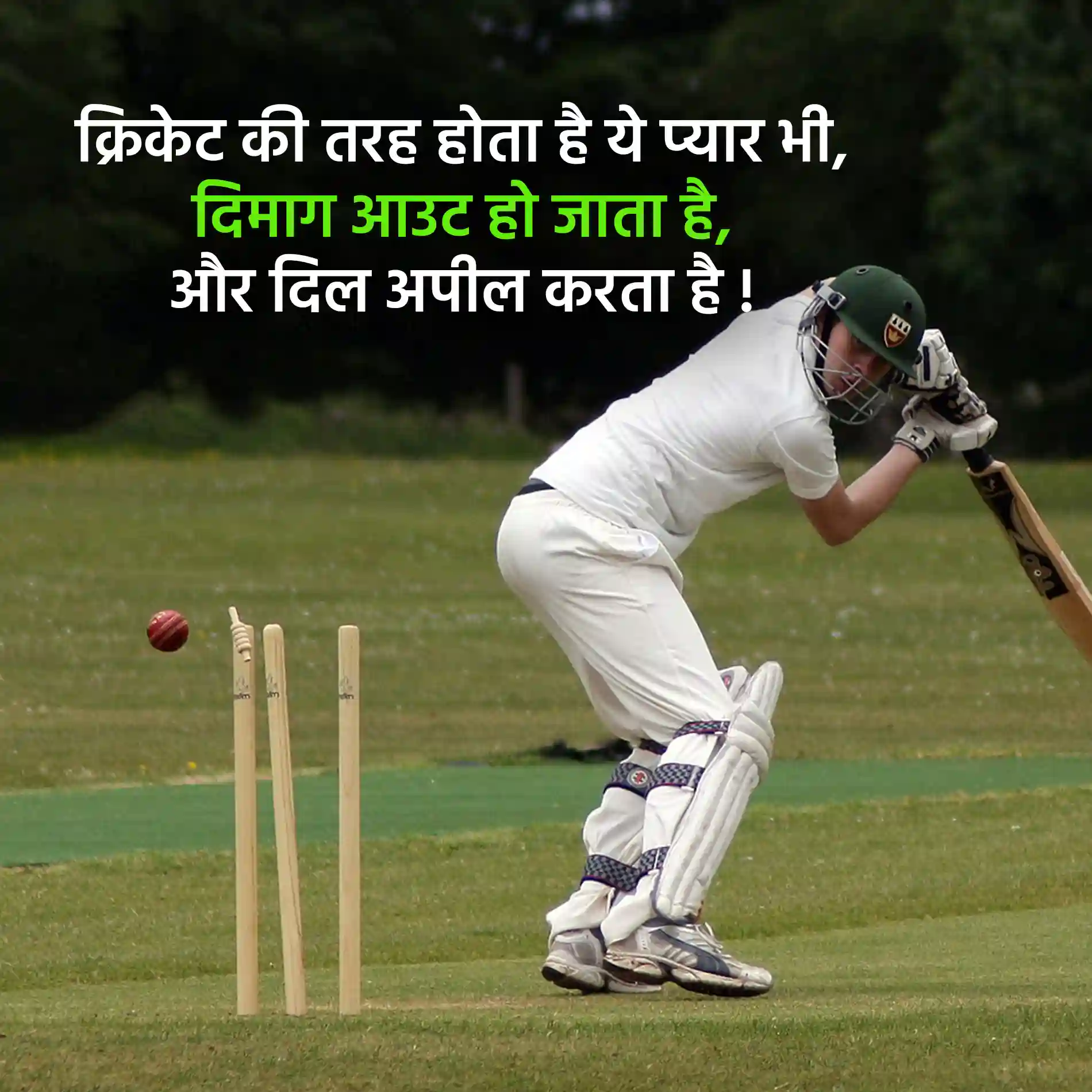 Cricket Shayari