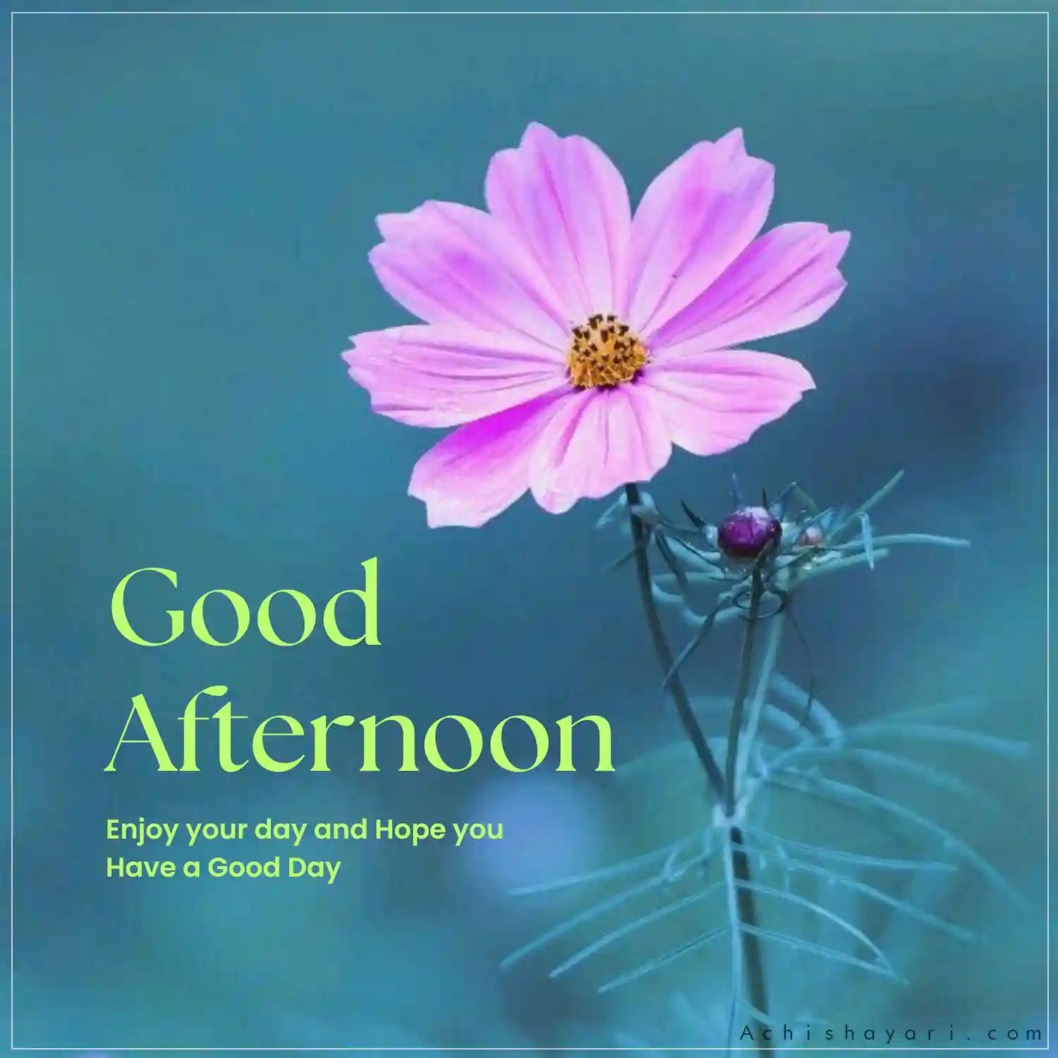 Good Afternoon Image HD Pic